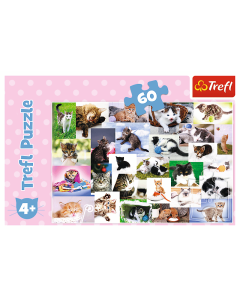 Puzzle Cats 60 piezas Trefl