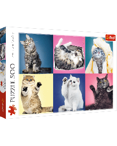 Puzzle Kitten 500 piezas Trefl