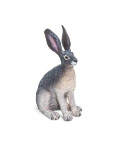 American Desert Hare Animalitos