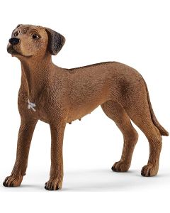 Rhodesian Ridgeback Schleich