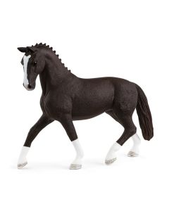 Hannoverian Mare, Black Schleich