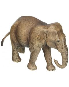 Asian Elephant, Female Schleich