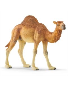 Dromedary Schleich