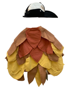 Disfraz Pajaro Benteveo Ojos Grandes