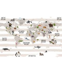 Individual Estampado Rectangular - Mapa Mundi Mister Kook