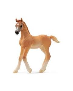 Arabian Foal Schleich