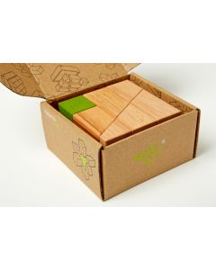 Asterisk Set - Asphalt Finish Tegu