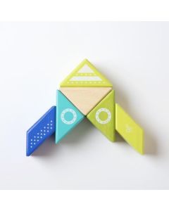 Travel Pal Spaceship Tegu