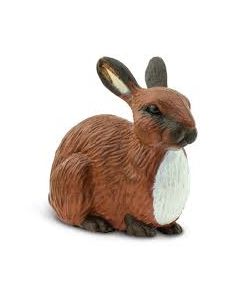 Rabbit Safari