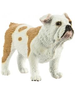 Bulldog Safari