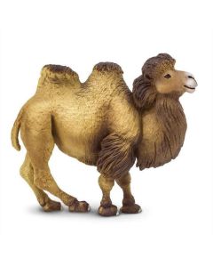 Bactrian Camel Safari