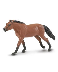 Thoroughbred Stallion Safari