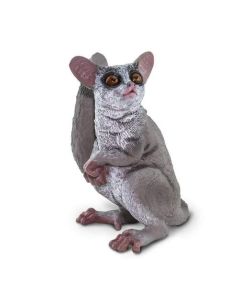 Bush Baby Safari