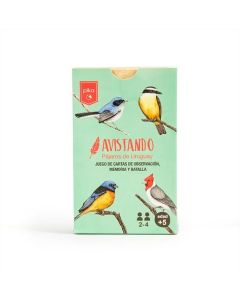 Avistando Pajaros Uruguay Pika