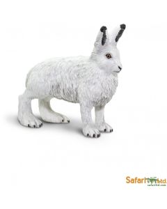 Artica Hare Safari
