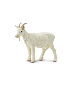 Nanny Goat Safari