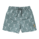 Swim UV Shorts boys Lobster Chinois Green 5-6Y Fresk