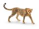 Cheetah, Female Schleich