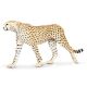 Cheetah Safari