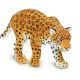 Jaguar Safari