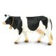 Holstein Cow Safari