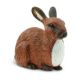 Rabbit Safari