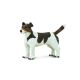 Jack Russell Terrier Safari