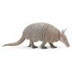 Armadillo Safari
